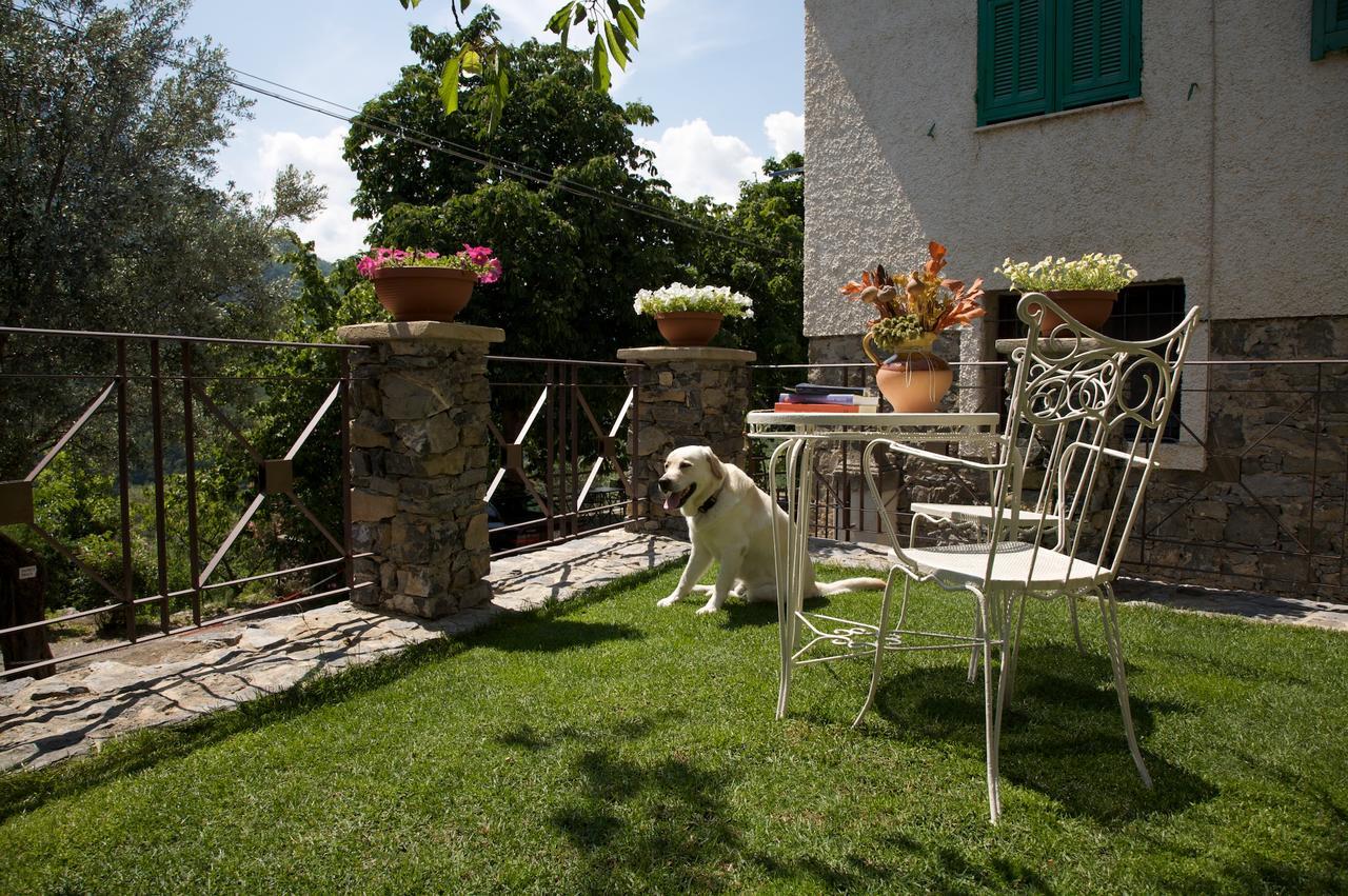 مبيت وإفطار Colletta La Casa Dei Nonni Castelbianco المظهر الخارجي الصورة